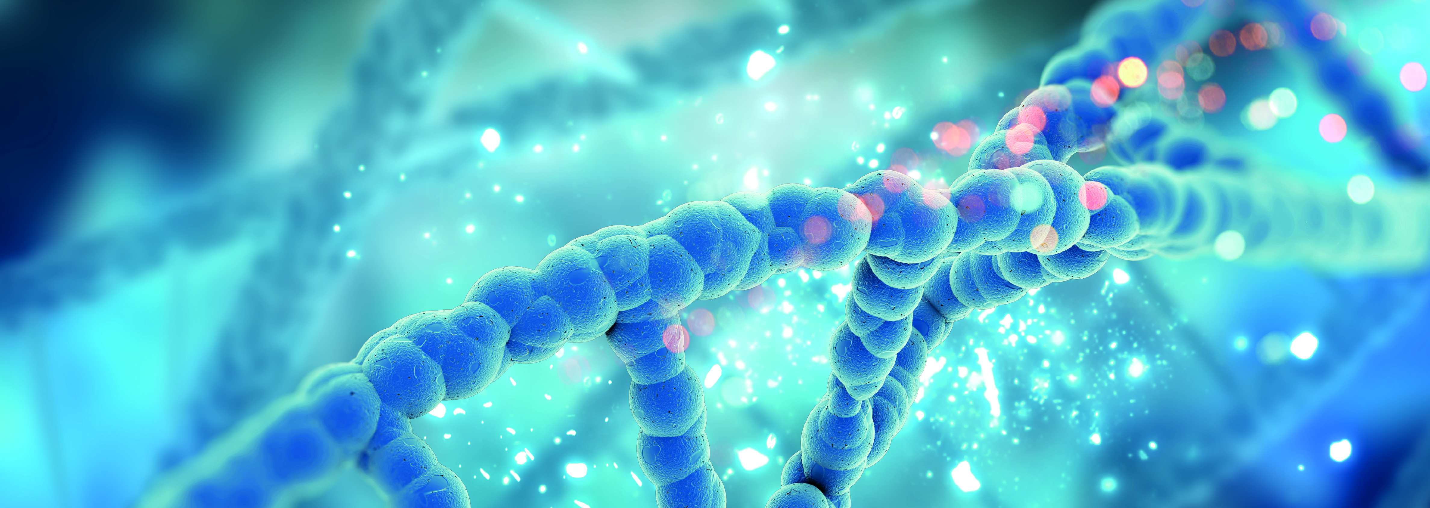 Doctorado en Investigación Traslacional en Inmunidad y Cáncer